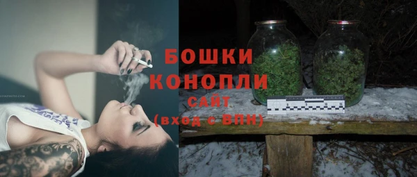 ГАЛЛЮЦИНОГЕННЫЕ ГРИБЫ Заволжск
