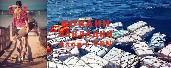 твердый Заводоуковск
