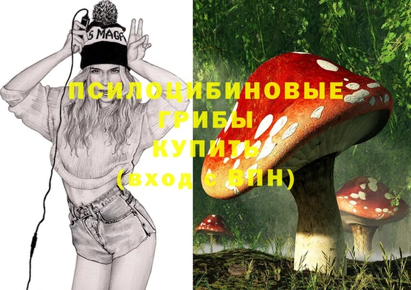 твердый Заводоуковск