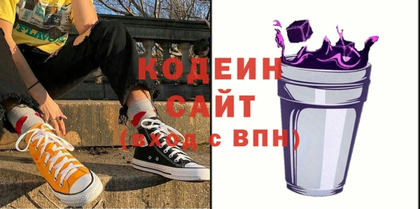 твердый Заводоуковск