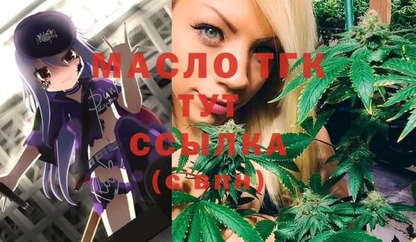 твердый Заводоуковск