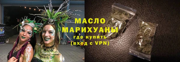 твердый Заводоуковск
