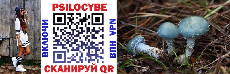 Псилоцибиновые грибы Psilocybe  Ефремов 