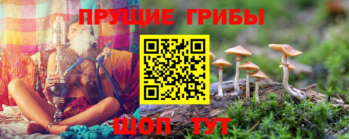 Галлюциногенные грибы GOLDEN TEACHER  Ефремов  Псилоцибиновые грибы Magic Shrooms 