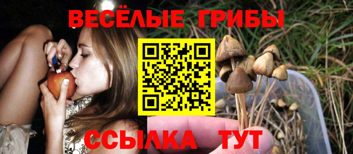 Галлюциногенные грибы мицелий Ефремов